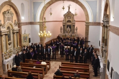 Runovići